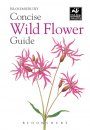 Bloomsbury Concise Wild Flower Guide