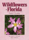 Wildflowers of Florida