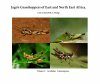 Jago's Grasshoppers of East and North East Africa, Volume 3