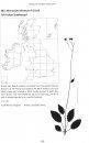 Atlas of British and Irish Hawkweeds