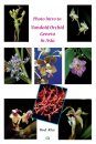 Photo Intro to Vandoid Orchid Genera in Asia