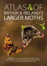 Atlas of Britain & Ireland's Larger Moths
