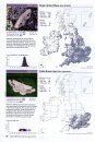 Atlas of Britain & Ireland's Larger Moths