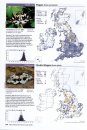 Atlas of Britain & Ireland's Larger Moths