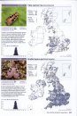 Atlas of Britain & Ireland's Larger Moths