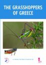 The Grasshoppers of Greece