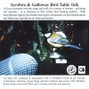 Ayrshire & Galloway Bird Table Talk