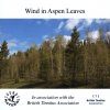Wind in Aspen Leaves