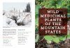 Mountain States Medicinal Plants
