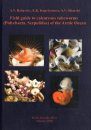 Field Guide to Calcareous Tubeworms (Polychaeta, Serpulidae) of the Arctic Ocean