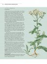 Botanisch Handboek Medicinale Planten: Geneeskrachtige Planten & Huismiddeltjes van A tot Z [The Gardener's Companion to Medicinal Plants: An A-Z of Healing Plants and Home Remedies]