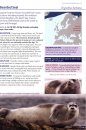 Europe's Sea Mammals