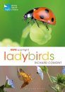 RSPB Spotlight: Ladybirds