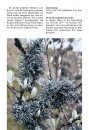 Flechten & Moose: 290 Arten Schnell Erkennen [Lichens & Mosses: Quickly Identifying 290 Species]