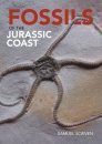 Fossils of the Jurassic Coast