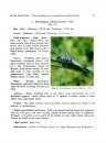 Pictorial Handbook on Dragon and Damselflies (Odonata: Insecta) of Mangroves of Sunderbans