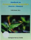 Handbook on Common Indian Dragonflies (Insecta: Odonata)