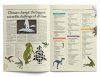 The What on Earth? Wallbook Timeline of Nature