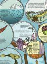 The What on Earth? Wallbook Timeline of Nature
