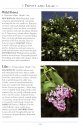 A Naturalist's Guide to the Trees of Britain and Northern Europe