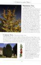 A Naturalist's Guide to the Trees of Britain and Northern Europe