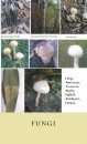 Fungi
