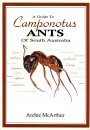 A Guide to Camponotus Ants of South Australia