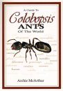 A Guide to Colobopsis Ants of the World