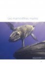 Atlas des Oiseaux Marins et Cétacés du Sud Gascogne: De l'Estuaire de la Gironde à la Bidassoa [Atlas of Seabirds and Cetaceans of Southern Gascony: From the Estuary of Gironde to Bidasoa]