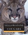 Yellowstone Cougars