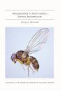 Hirtodrosophila of North America (Diptera, Drosophilidae)