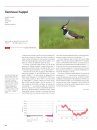 Atlas des Oiseaux Nicheurs de Suisse 2013-2016: Distribution et Évolution des Effectifs des Oiseaux en Suisse et au Liechtenstein [Swiss Breeding Bird Atlas 2013–2016: Distribution and Population Trends of Birds in Switzerland and Liechtenstein]