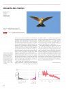 Atlas des Oiseaux Nicheurs de Suisse 2013-2016: Distribution et Évolution des Effectifs des Oiseaux en Suisse et au Liechtenstein [Swiss Breeding Bird Atlas 2013–2016: Distribution and Population Trends of Birds in Switzerland and Liechtenstein]