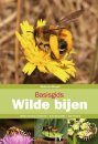 Basisgids Wilde Bijen [Basic Guide to Wild Bees]