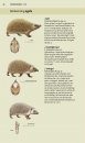 Veldgids Europese Zoogdieren [Field Guide to European Mammals]