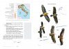 Rapaci d'Italia [Raptors of Italy]