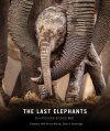 The Last Elephants