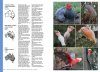 The Complete Guide to Australian Birds