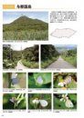 Migrated Butterflies of Japan [Japanese]