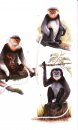 Field Guide to the Mammals of South-East Asia