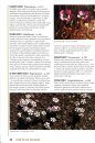 Field Guide to Wild Flowers of South Africa
