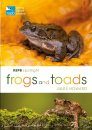RSPB Spotlight Frogs and Toads