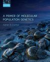 A Primer of Molecular Population Genetics