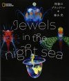 Jewels in the Night Sea [Japanese]