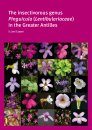 The Insectivorous Genus Pinguicula (Lentibulariaceae) in the Greater Antilles