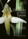 Orchids of Central Spain (Cuenca Province)