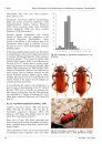 Ferrantia, Volume 79: Atlas of the Insects of the Grand-Duchy of Luxembourg: Coleoptera, Cerambycidae