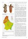 Ferrantia, Volume 79: Atlas of the Insects of the Grand-Duchy of Luxembourg: Coleoptera, Cerambycidae