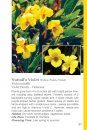 Rocky Mountain Wildflowers Field Guide