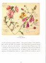 RHS Botanical Illustration